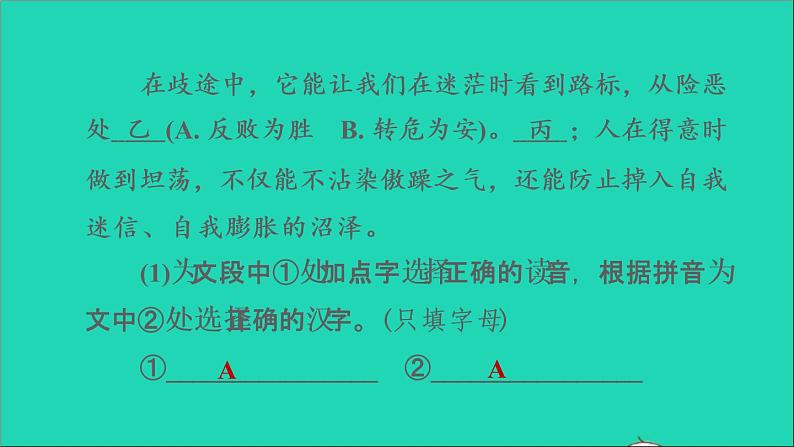 中考语文积累与运用第33_35课时语段综合课后练本课件03