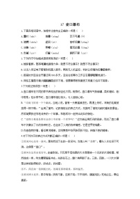 初中语文人教部编版八年级下册17 壶口瀑布课堂检测