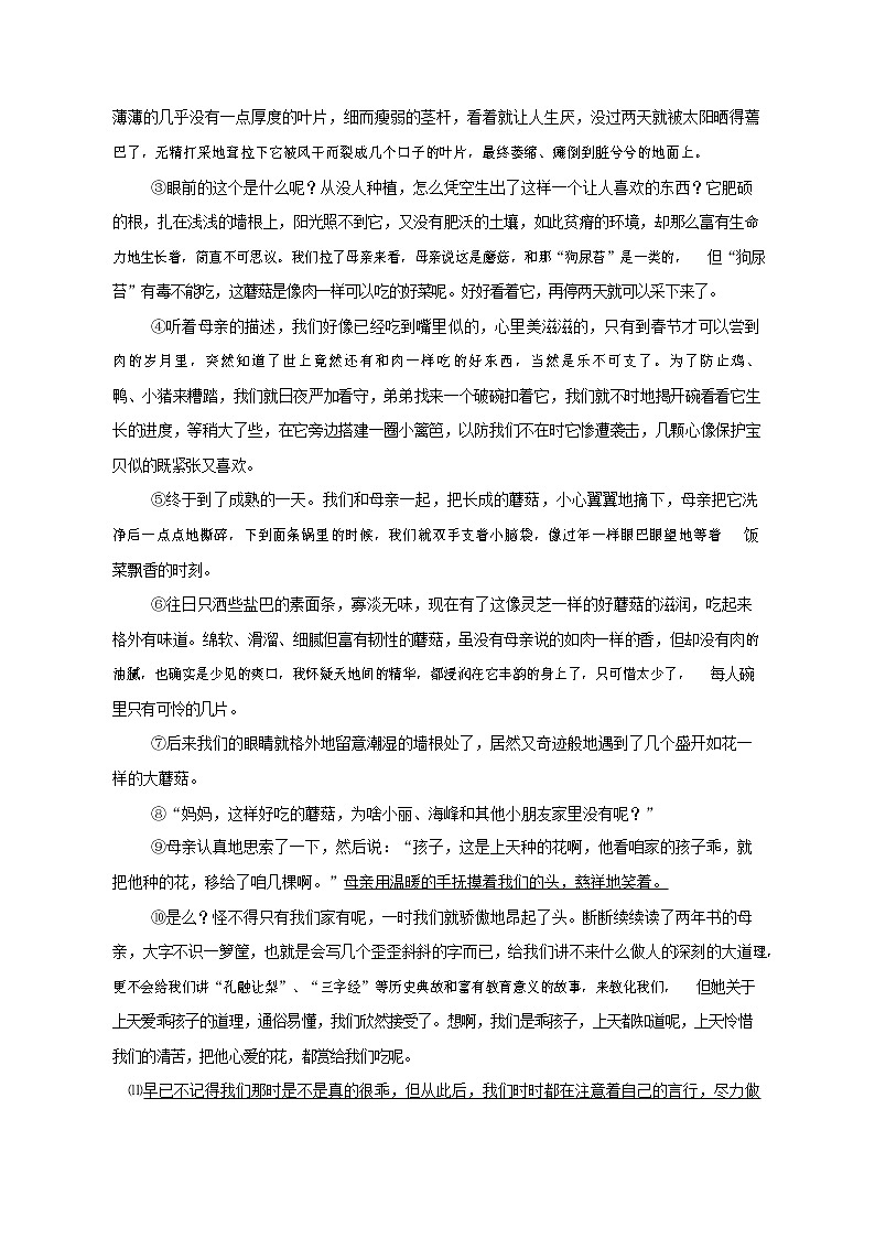 人教部编版语文八年级上册 第一学期期末考试复习质量综合检测试题测试卷 (218)第3页