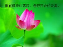 初中语文人教部编版七年级下册爱莲说一等奖课件ppt