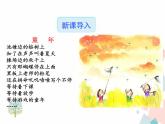 人教版语文八年级下册1社戏课件PPT