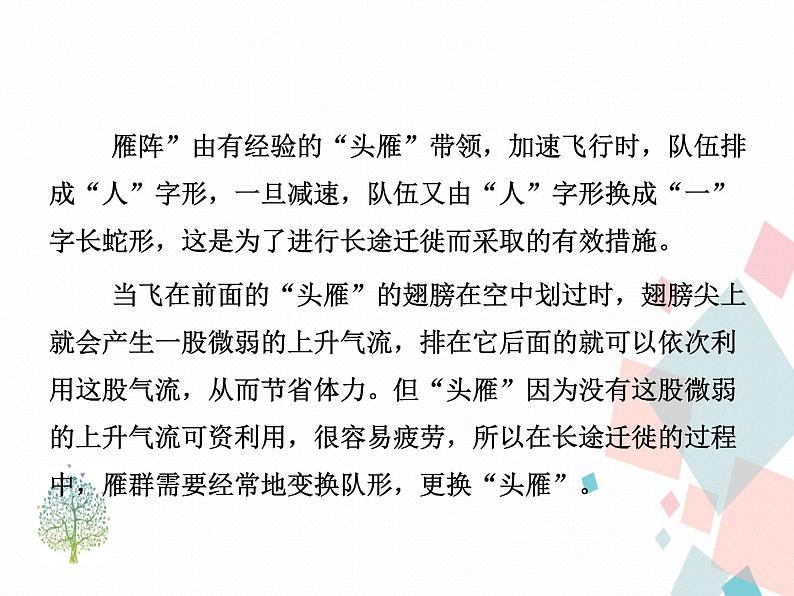 人教版语文八年级下册7大雁归来课件PPT第5页