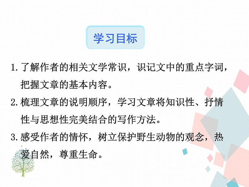 人教版语文八年级下册7大雁归来课件PPT第6页
