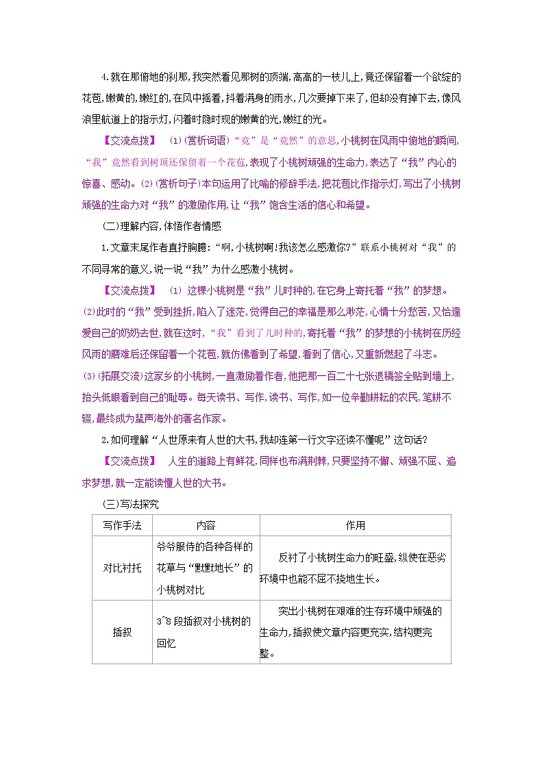 19《一棵小桃树》第二课时 名师教案第2页