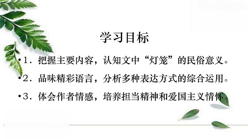 最新部编版初中语文八年级下册 《灯笼》课件02