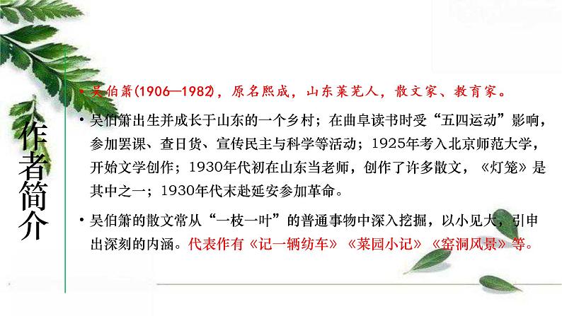 最新部编版初中语文八年级下册 《灯笼》课件03