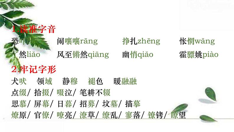 最新部编版初中语文八年级下册 《灯笼》课件05