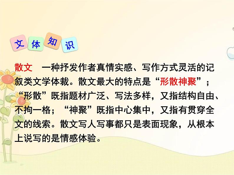 最新部编版初中语文八年级下册 一单元《灯笼》课件第6页
