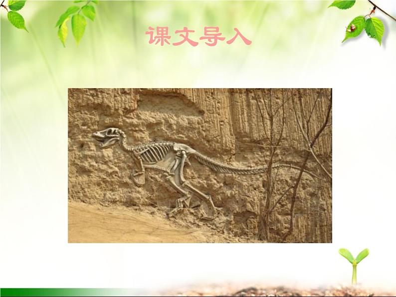 最新部编版初中语文八年级下册 第二单元《时间的脚印》课件第2页