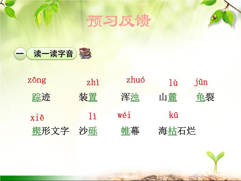 最新部编版初中语文八年级下册 第二单元《时间的脚印》课件第6页