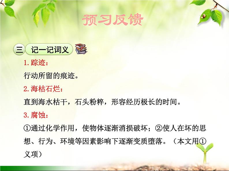 最新部编版初中语文八年级下册 第二单元《时间的脚印》课件第8页