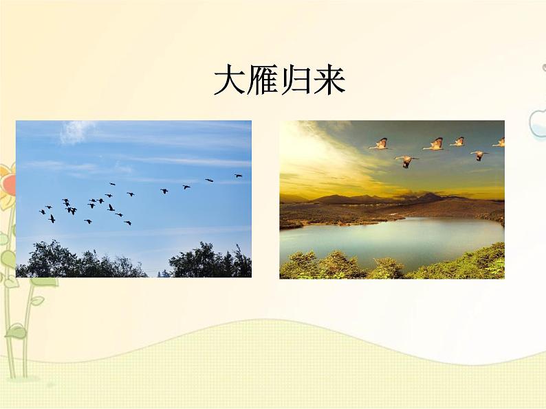 最新部编版初中语文八年级下册 二单元《大雁归来》课件第1页