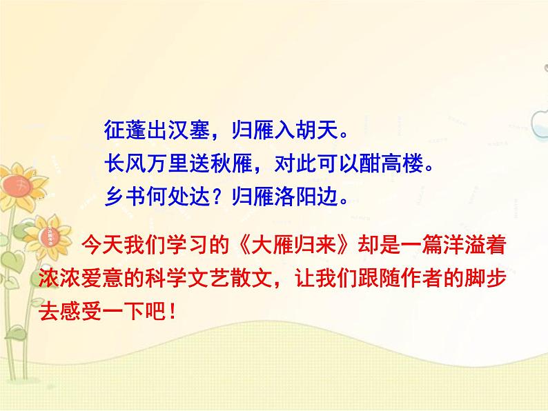 最新部编版初中语文八年级下册 二单元《大雁归来》课件第3页
