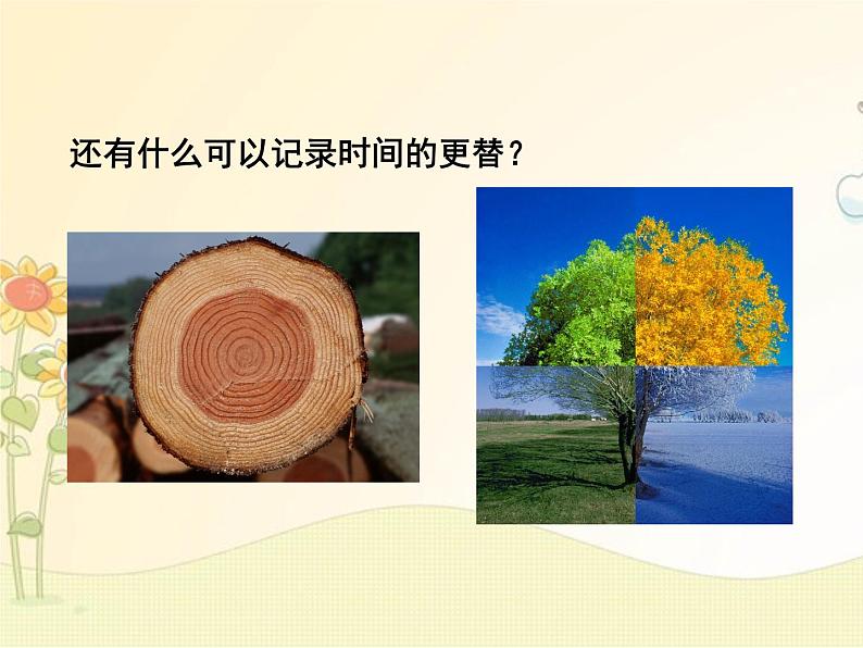 最新部编版初中语文八年级下册 二单元《时间的脚印》课件03