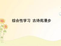 初中语文人教部编版八年级下册综合性学习 古诗苑漫步一等奖课件ppt