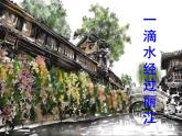 最新部编版初中语文八年级下册 第五单元《一滴水经过丽江》课件