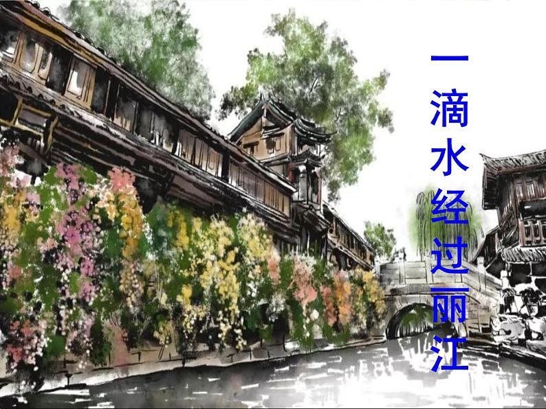 最新部编版初中语文八年级下册 第五单元《一滴水经过丽江》课件01