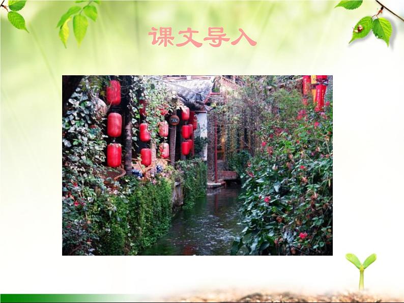 最新部编版初中语文八年级下册 第五单元《一滴水经过丽江》课件02