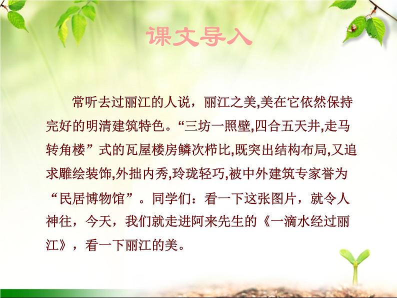 最新部编版初中语文八年级下册 第五单元《一滴水经过丽江》课件03