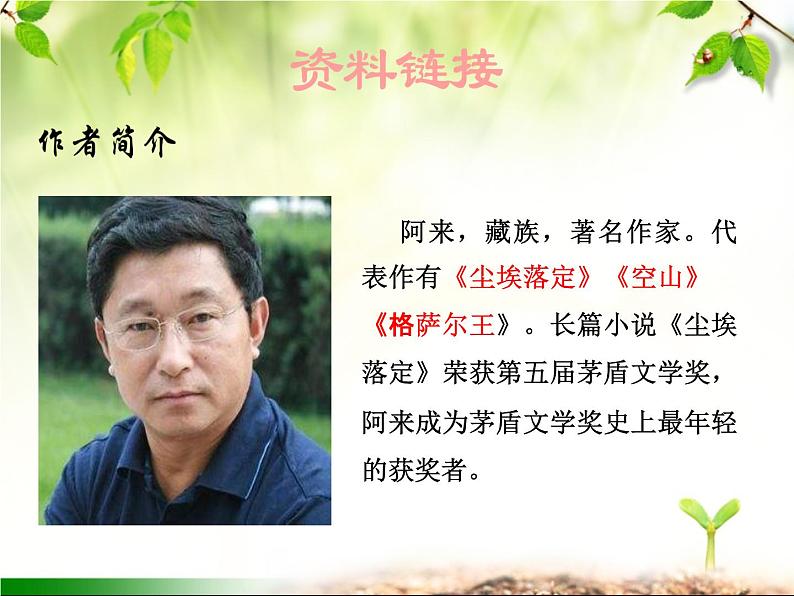 最新部编版初中语文八年级下册 第五单元《一滴水经过丽江》课件05