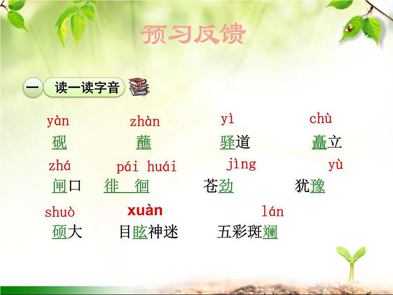 最新部编版初中语文八年级下册 第五单元《一滴水经过丽江》课件08