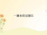 最新部编版初中语文八年级下册 五单元《一滴水经过丽江》课件