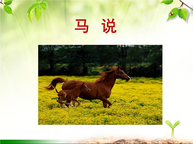 最新部编版初中语文八年级下册 第六单元《马说》课件第1页