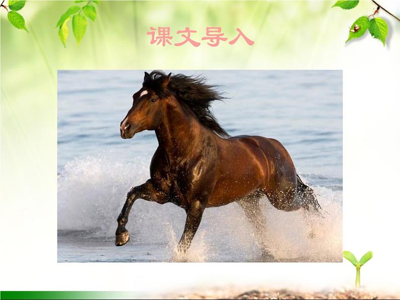 最新部编版初中语文八年级下册 第六单元《马说》课件第2页