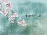 最新部编版初中语文八年级下册 三单元《〈诗经〉二首》第二课时课件