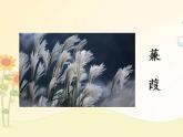 最新部编版初中语文八年级下册 三单元《〈诗经〉二首》第二课时课件