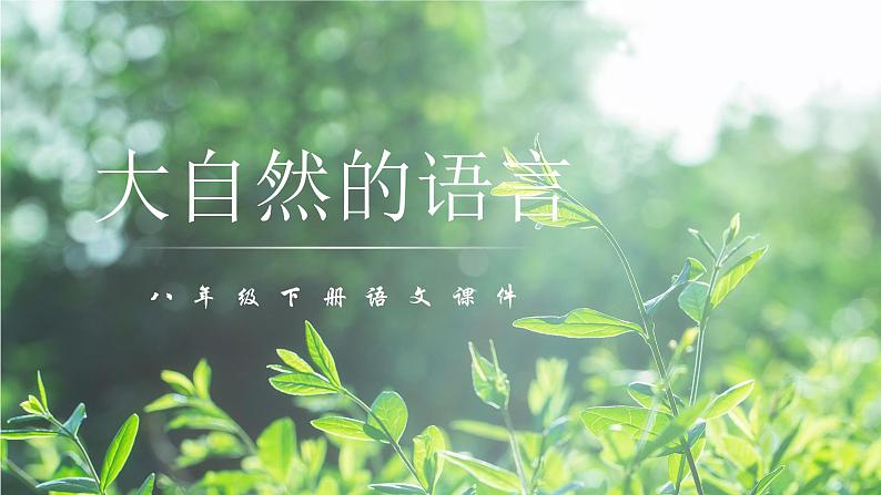 第5课  大自然的语言 -八年级下册语文同步精品课件+教案+练习（部编版）01