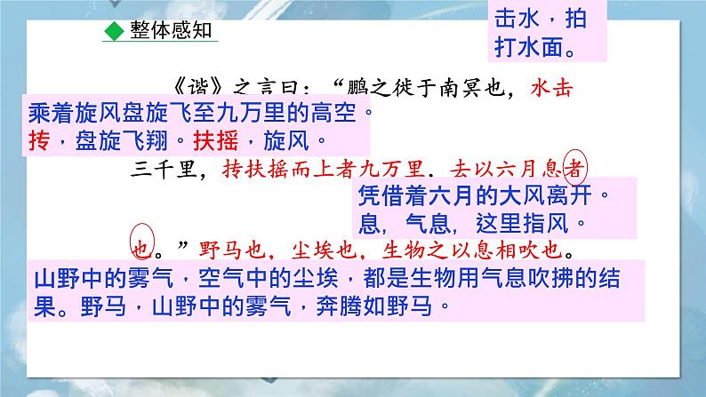21《北冥有鱼》课件-八年级下册语文部编版第7页