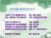 人教部编版九年级下册同步精品课件+课后练习16　驱遣我们的想象