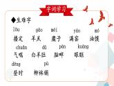 人教版语文八年级下册  2 回延安【第一课时】课件PPT