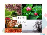 人教版语文八年级下册  5 大自然的语言【第一课时】课件PPT