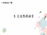 人教版语文八年级下册  5 大自然的语言【第二课时】课件PPT