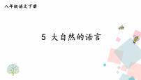 初中人教部编版5 大自然的语言背景图ppt课件