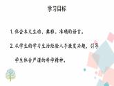 人教版语文八年级下册  5 大自然的语言【第二课时】课件PPT