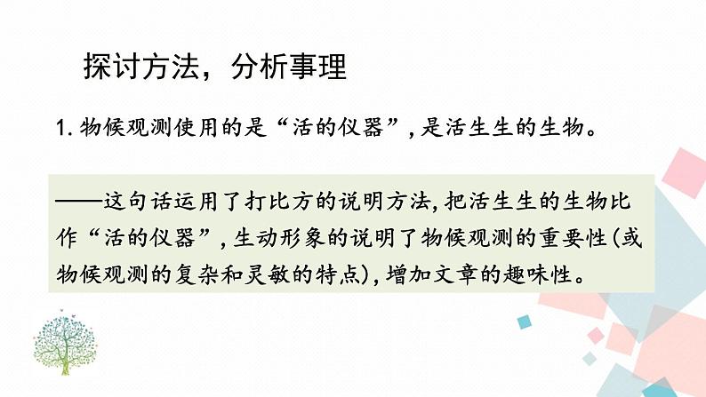 统编八语下 5 大自然的语言【第二课时】第6页