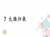 人教版语文八年级下册  7 大雁归来课件PPT