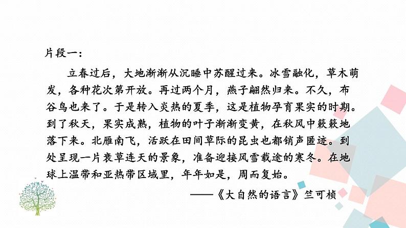 统编八语下 第二单元 写作：说明的顺序【第二课时】第5页