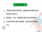 人教版语文八年级下册  第二单元 综合性学习：倡导低碳生活课件PPT