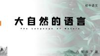 初中语文人教部编版八年级下册5 大自然的语言课文ppt课件