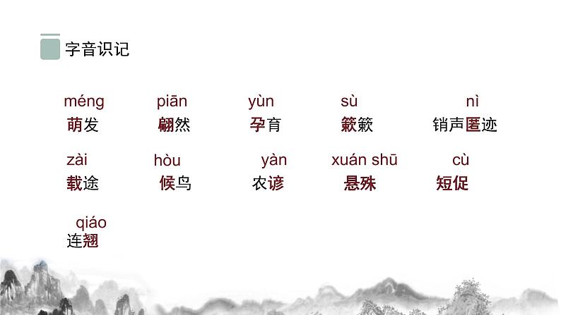 第5课《大自然的语言》课件   2021-2022学年部编版语文八年级下册第6页
