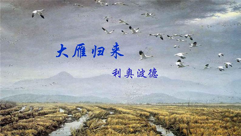 第7课《大雁归来》课件02