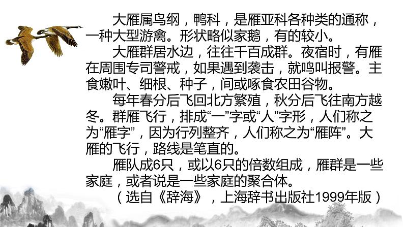 第7课《大雁归来》课件08
