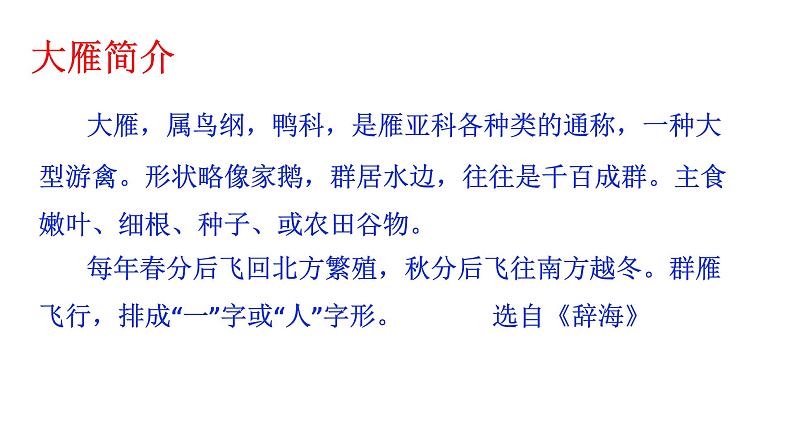 部编版八年级语文下册课件--7大雁归来课件04