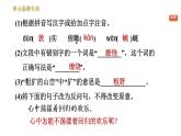 人教版八年级下册语文 第5单元 单元易错专训 习题课件