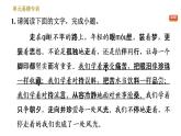 人教版八年级下册语文 第4单元 单元易错专训 习题课件
