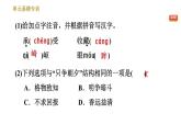 人教版八年级下册语文 第4单元 单元易错专训 习题课件